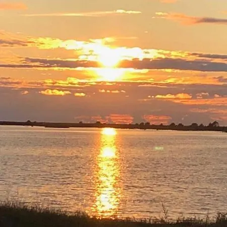 Cozy Forest House Дом отдыха