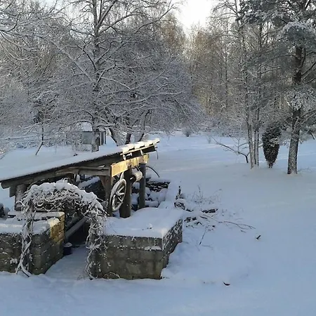 Cozy Forest House Kaunispe