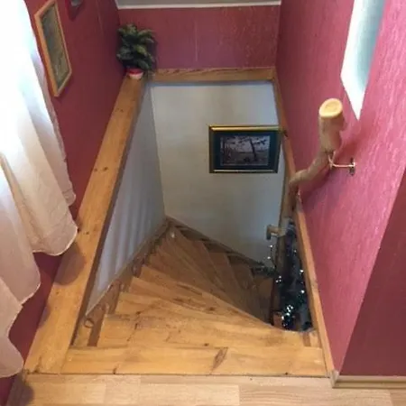 Дом отдыха Cozy Forest House