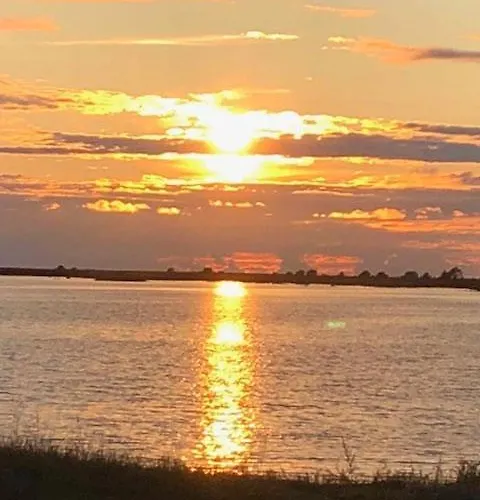 Cozy Forest House Hébergement de vacances