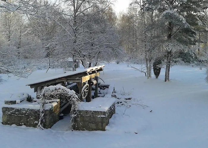 Cozy Forest House Kaunispe