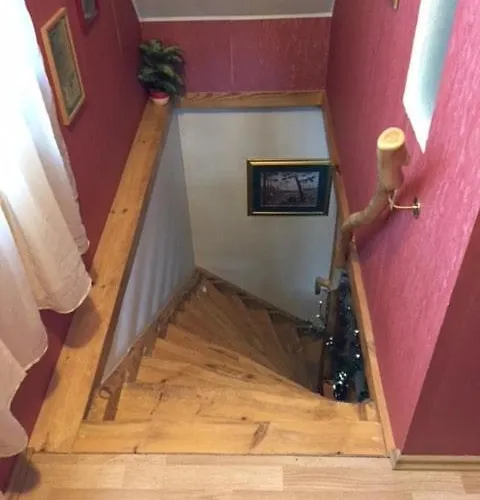 Hébergement de vacances Cozy Forest House