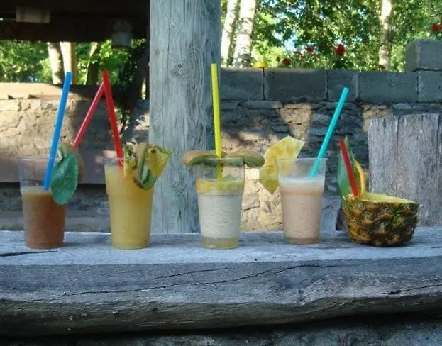 Cozy Forest House Hébergement de vacances *