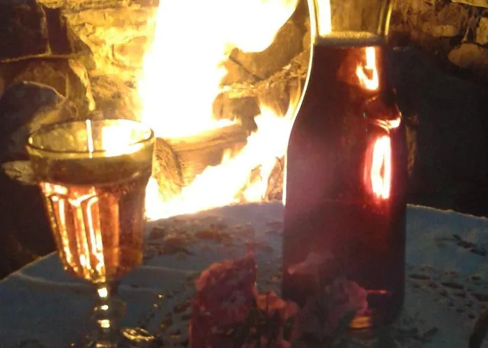 Cozy Forest House Hébergement de vacances *