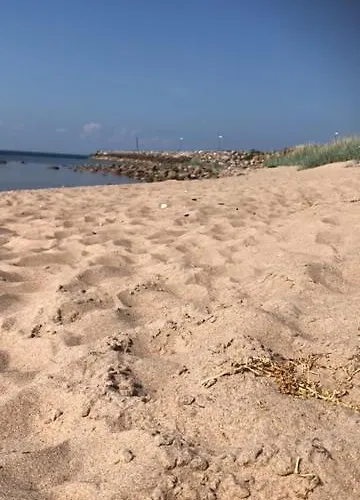 Hébergement de vacances Cozy Forest House *