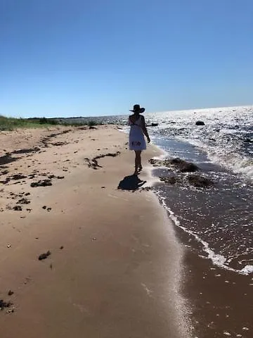 Hébergement de vacances Cozy Forest House *