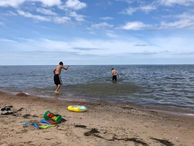 Hébergement de vacances Cozy Forest House